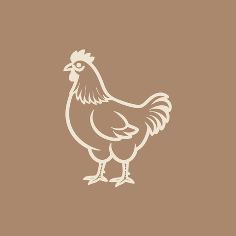 Chism Chicken Ranch - Local Pastures