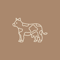 Osso Buco (Bone - In) - Local Pastures