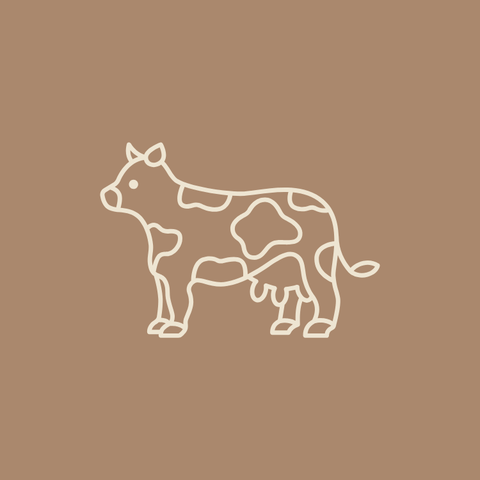 Osso Buco (Bone - In) - Local Pastures